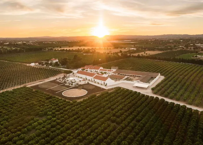Casas Da Quinta De Cima