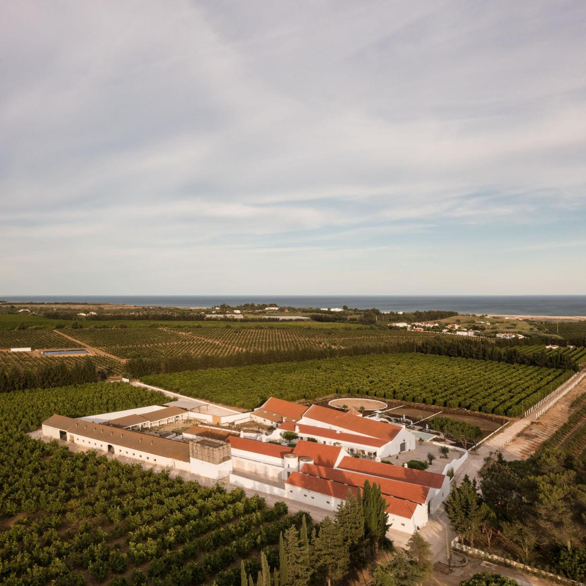 Casas Da Quinta De Cima *